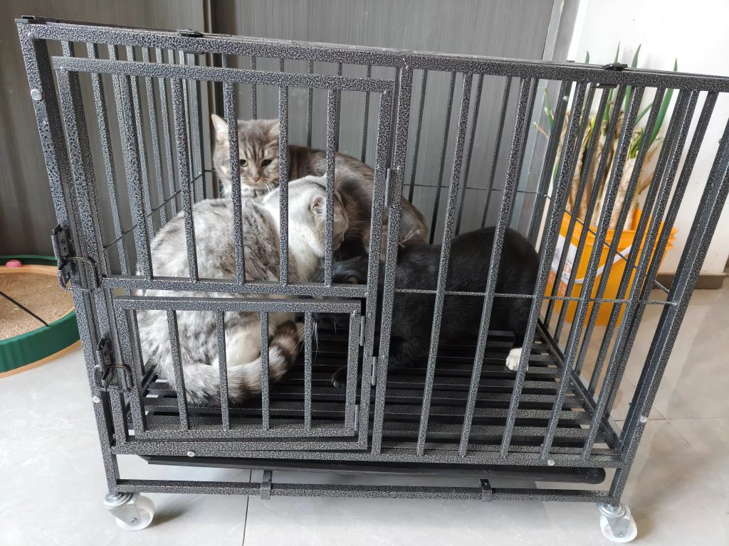 Heavy Duty Square Tube Dog Kennel